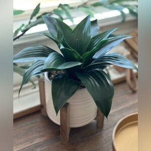 Faux Plant